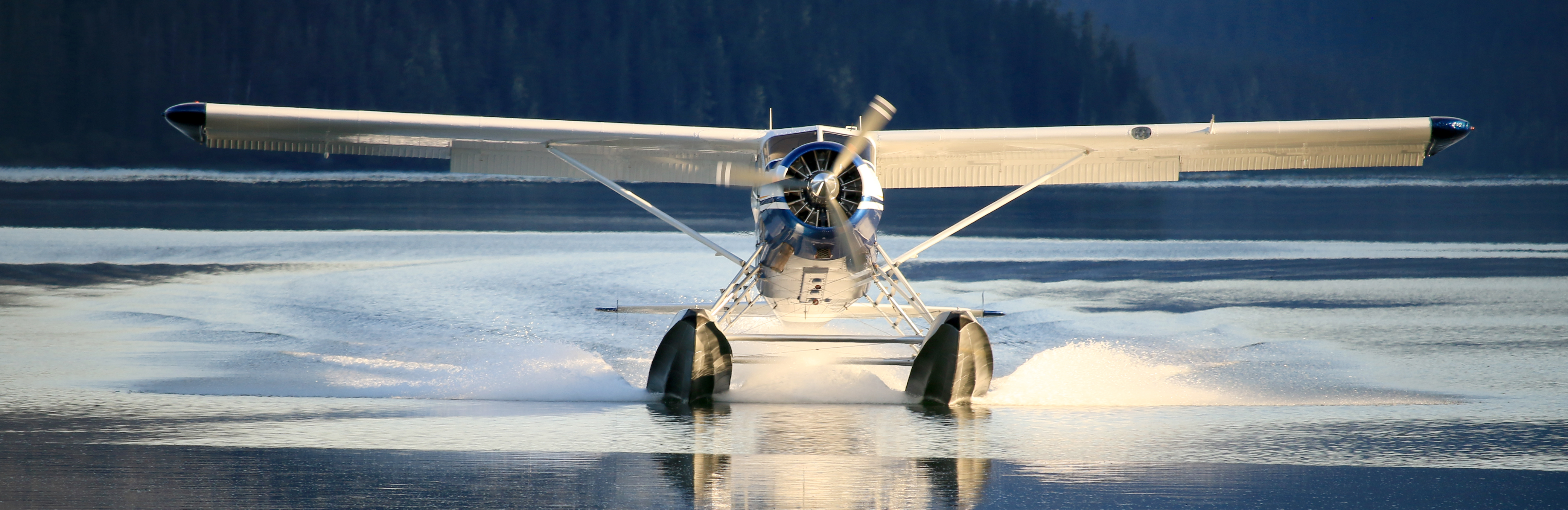 Pack Creek Bear Tours Becomes Juneau’s First Tourism Operator to Partner with the Juneau Carbon Offset Fund!