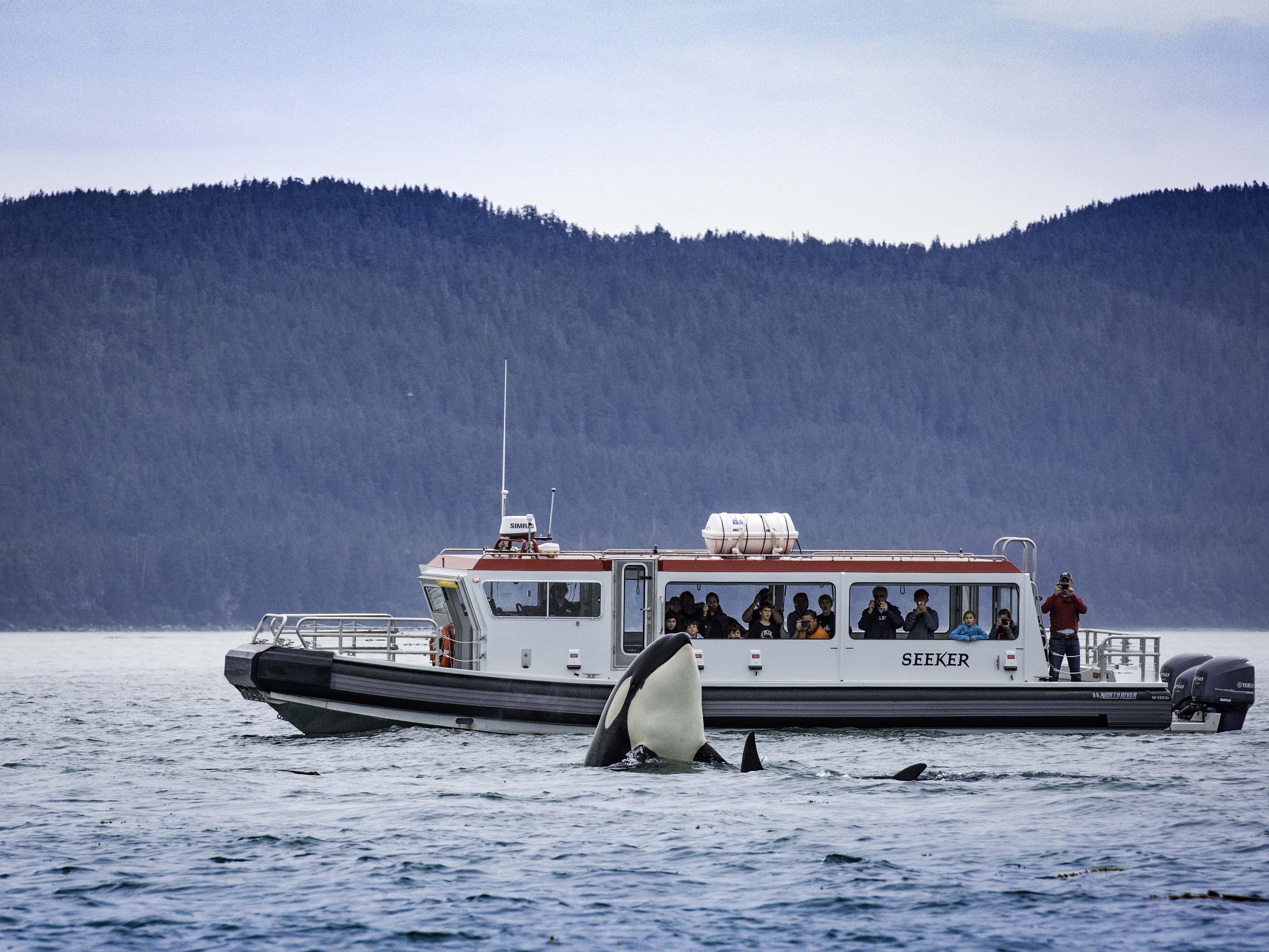 ACRF Supporter Spotlight: Gastineau Guiding Company